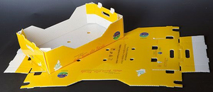 PP ورقة بلاستيكية مموجة تستخدم للتعبئة والتغليف